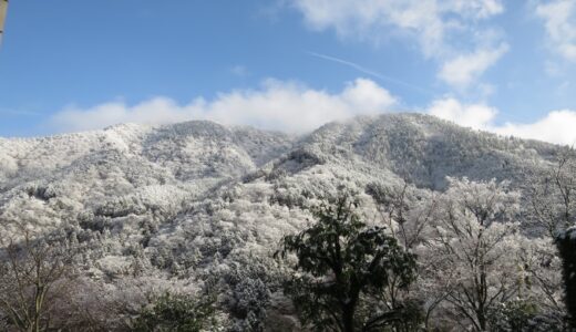 雪の箱根離宮滞在記　－一面真っ白銀世界－