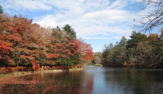雲場池の紅葉－2020年の秋－