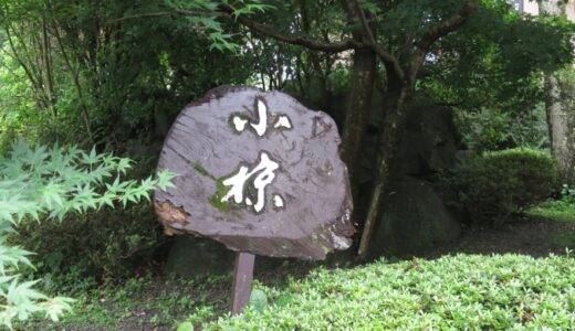 那須高原「小椋」のそば〔21年8月〕