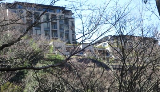堂が島渓谷遊歩道からみた箱根離宮〔25年2月〕
