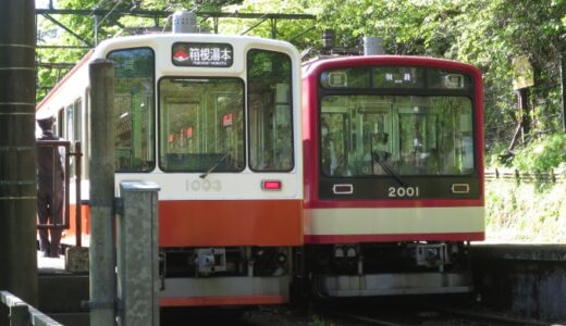 宮ノ下で登山電車―浅間公園をお散歩―〔25年5月〕