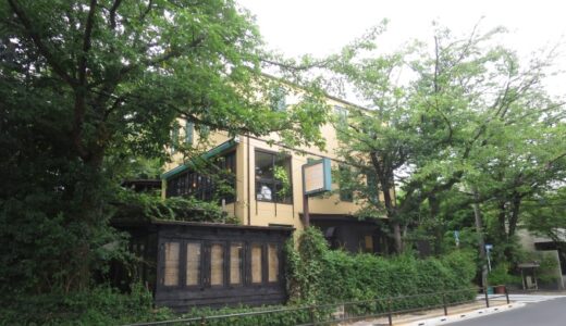 練馬Café Feliceのランチ〔25年8月〕