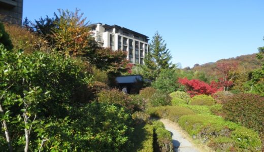 箱根離宮のお庭の紅葉〔25年11月〕