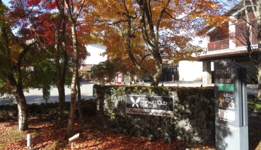 東急ハーヴェストクラブ旧軽井沢の中庭をお散歩〔25年11月〕