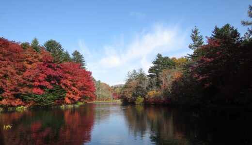 雲場池の紅葉ー2025年秋ー