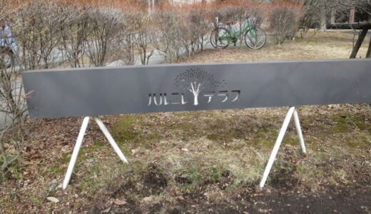 軽井沢駅からバスで行くハルニレテラス〔26年2月〕