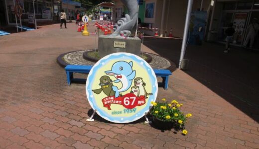 鳥羽湾めぐりといるか島〔26年5月〕